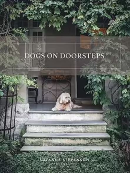 Dogs on Doorsteps