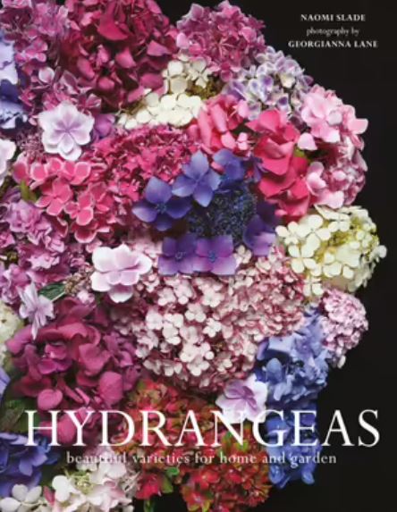 Hydrangeas Beautiful Varieties For Home And Garden