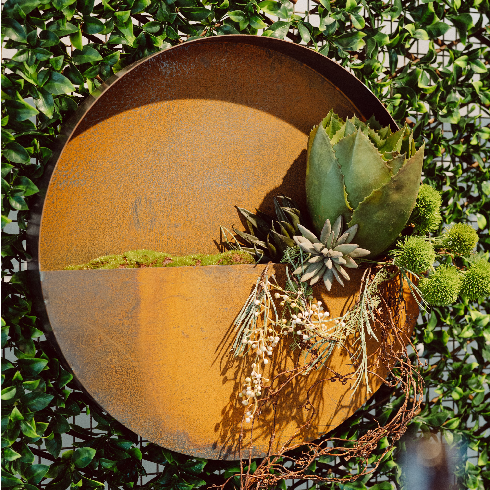 metal circle plant hanger Plant Holder Set