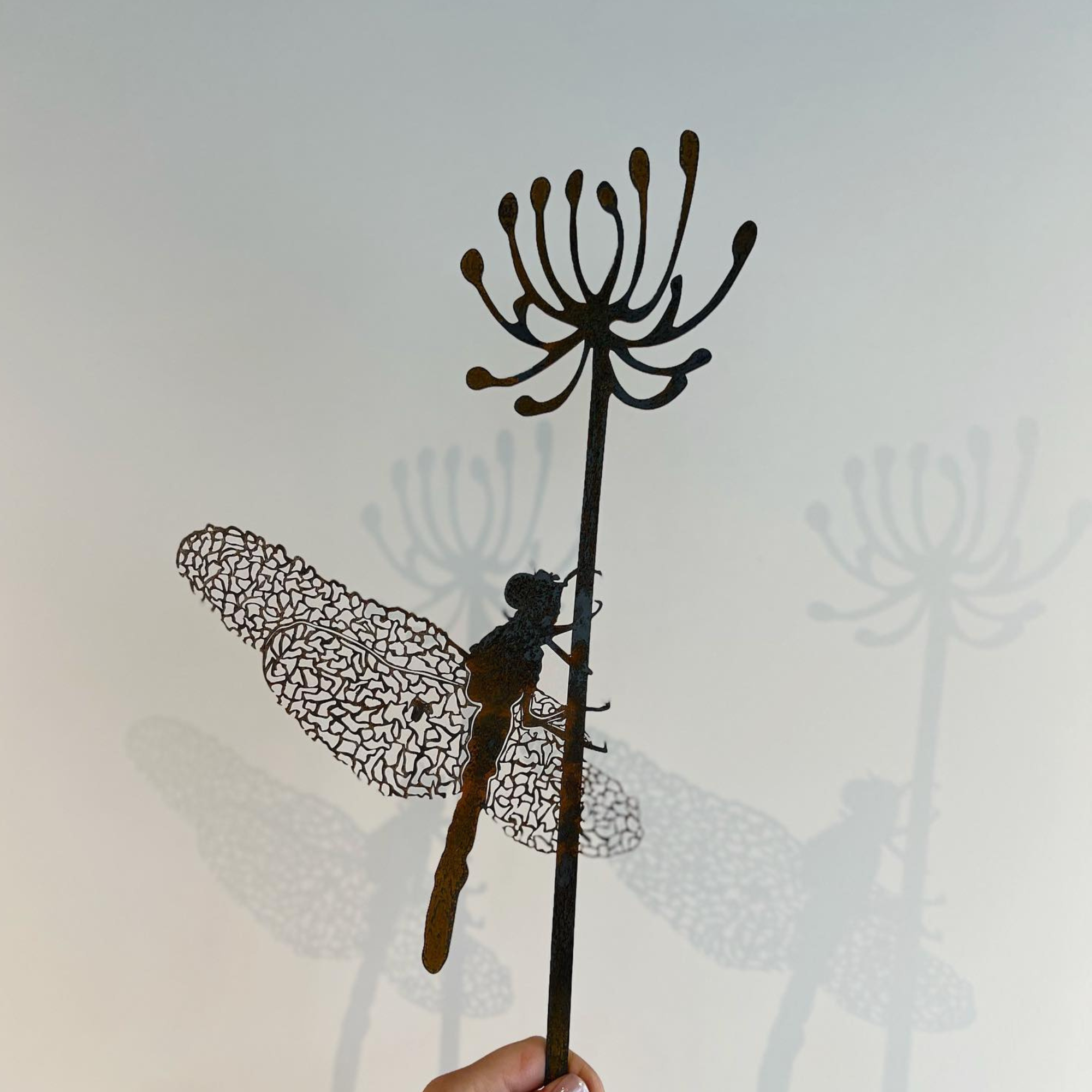 The Dragonfly