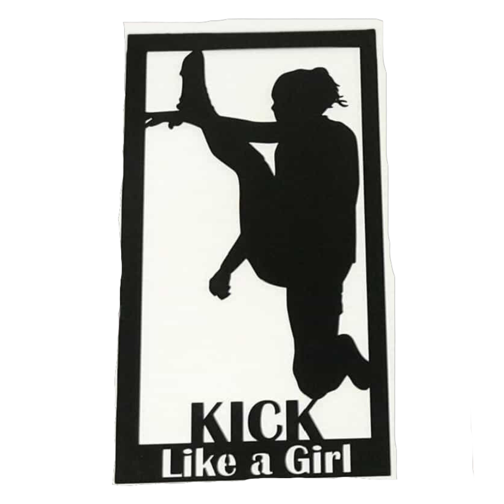 Like A Girl Plaque