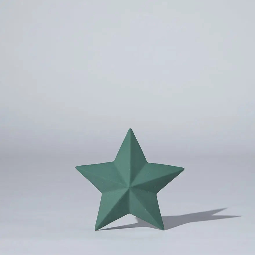 Star Decoration Moss (XL)