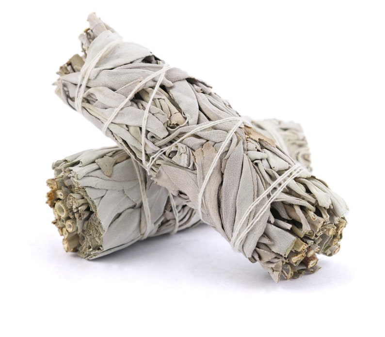 White Sage