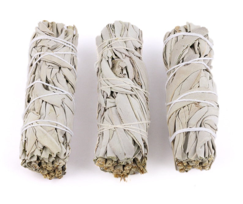 White Sage