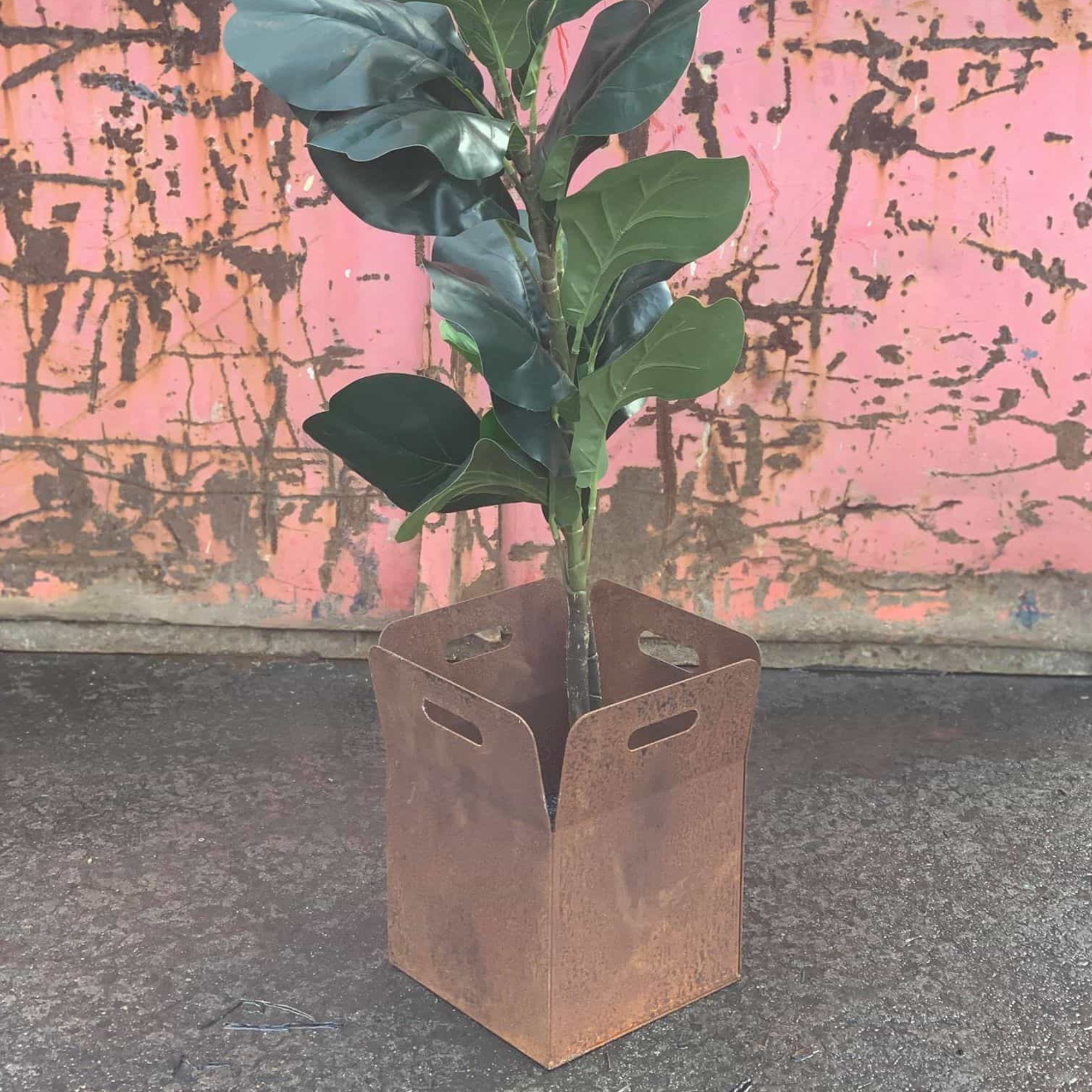 Take Away Container Plant Holder